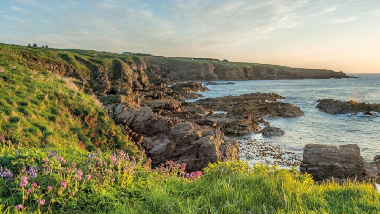 Hafenbild content/reisedaten/haefen/90/1/teaser.jpg