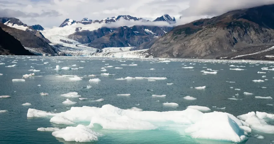 Hafenbild Icy Bay