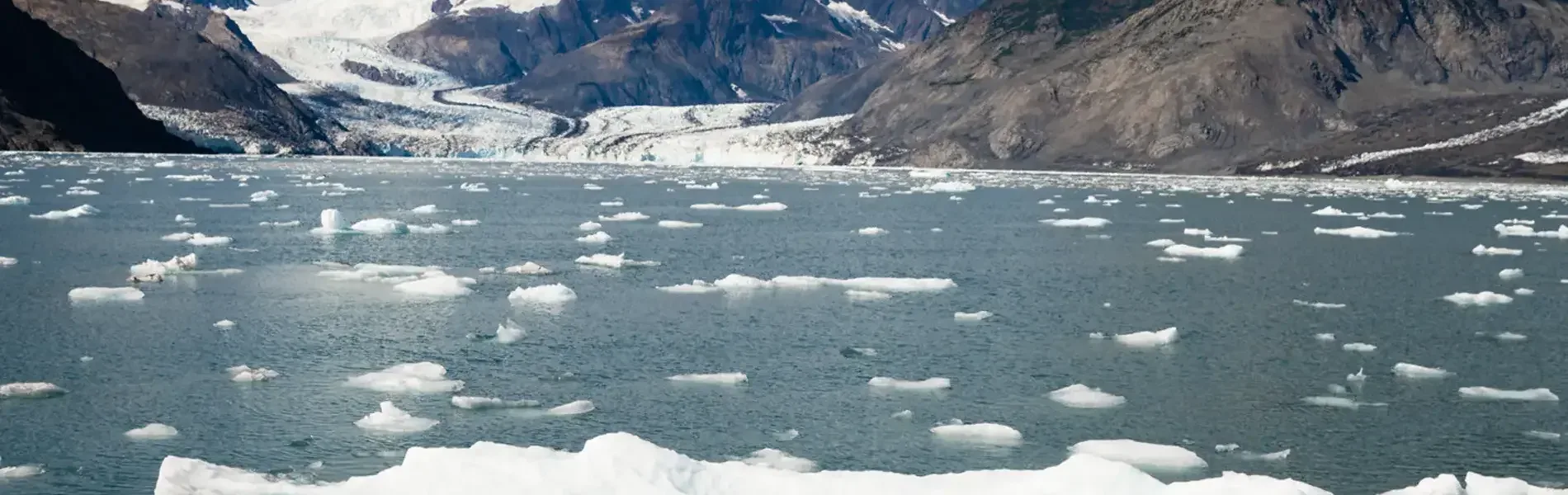 Hafenimpression Icy Bay