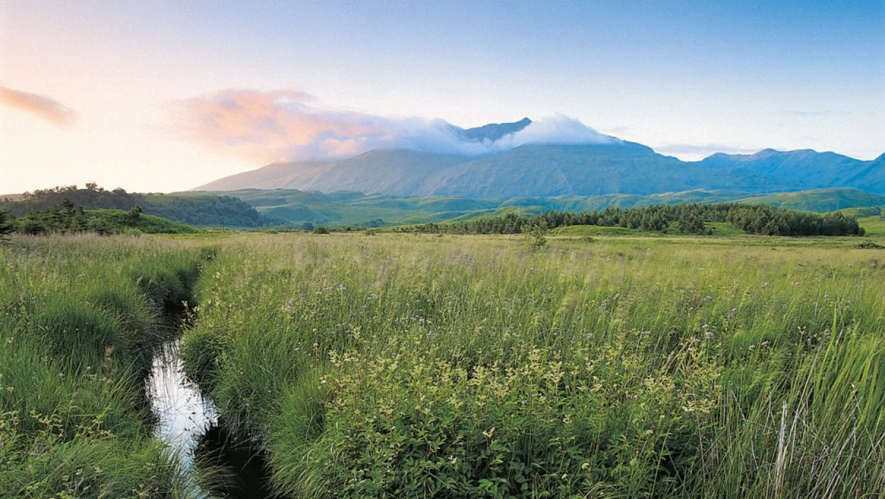 Hafenbild content/reisedaten/haefen/98/1/teaser.jpg