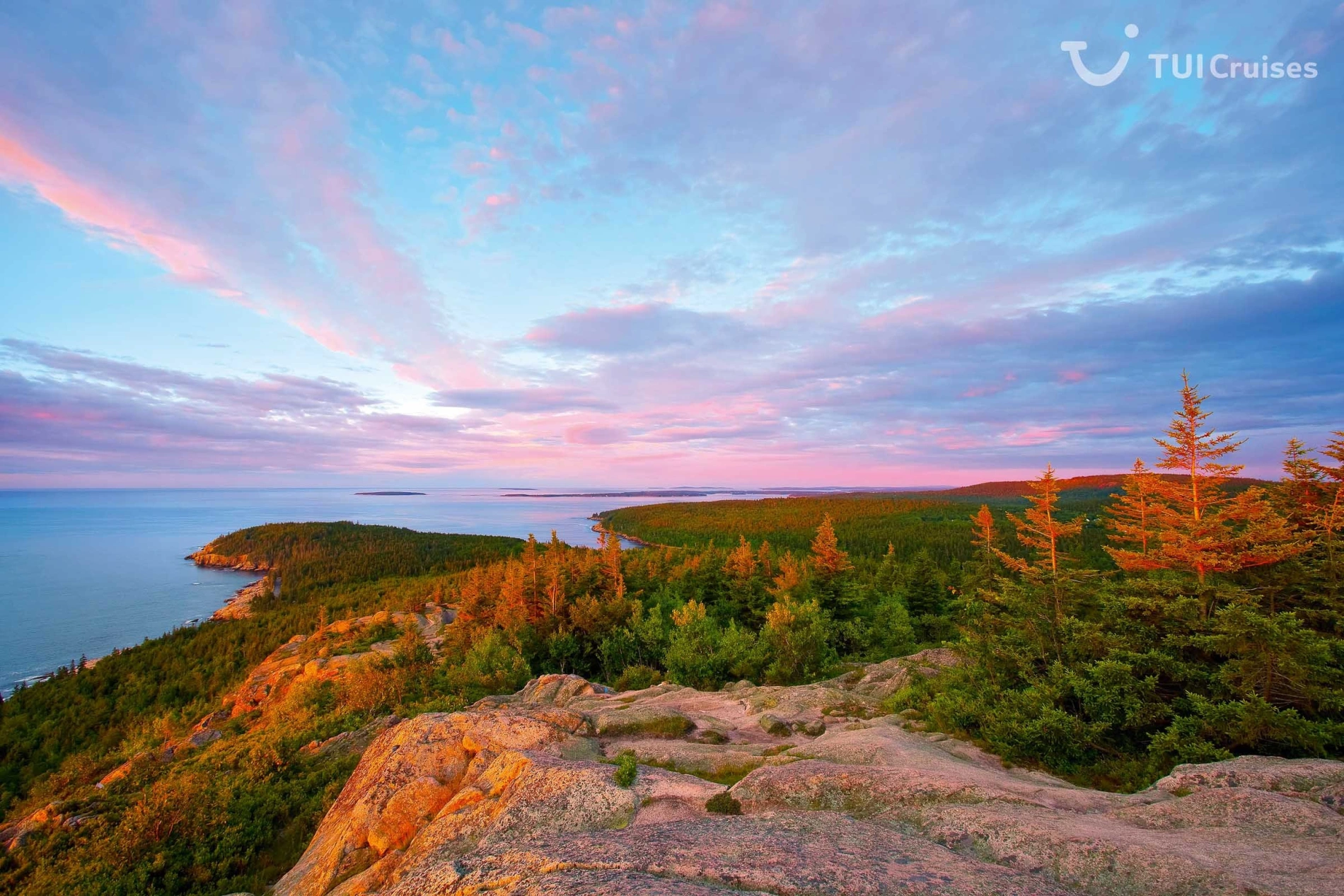 Teasergrafik Nordamerika