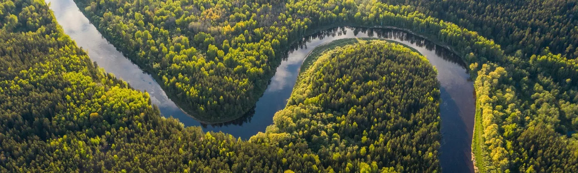 Teasergrafik Südamerika und Amazonas