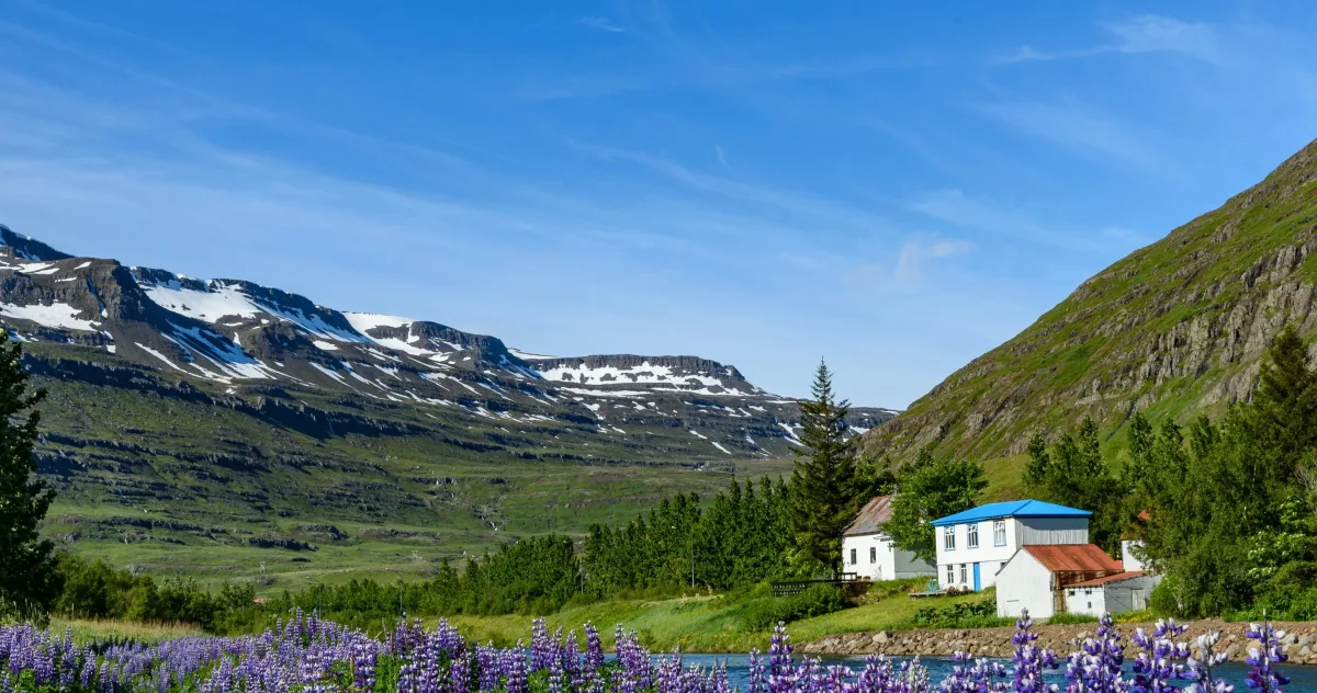 Hafenimpression Seydisfjordur