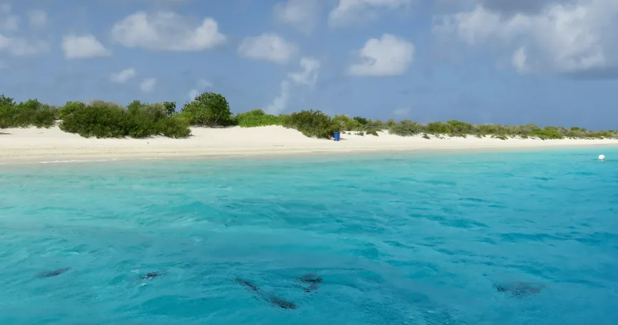 Hafenbild Kralendijk (Bonaire)