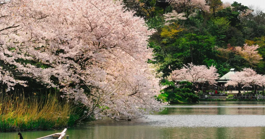 Hafenbild Yokohama (Tokio)