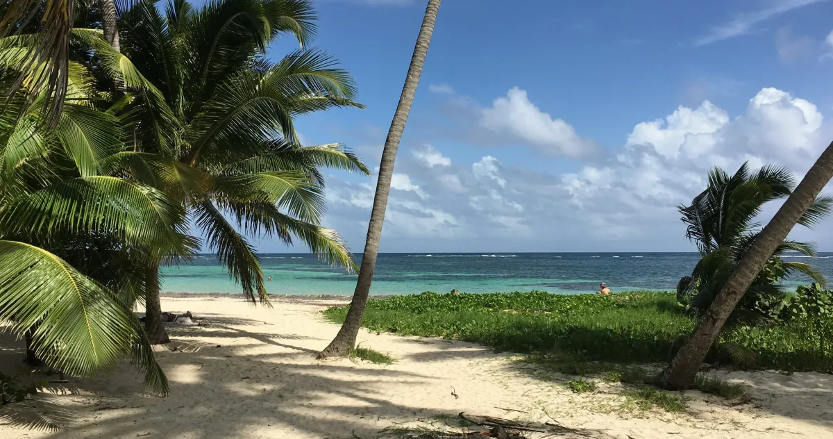 Hafenimpression Fort-de-France (Martinique)