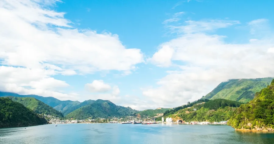 Hafenbild Picton