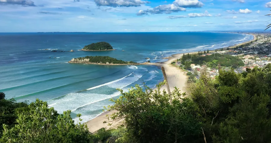 Hafenbild Tauranga