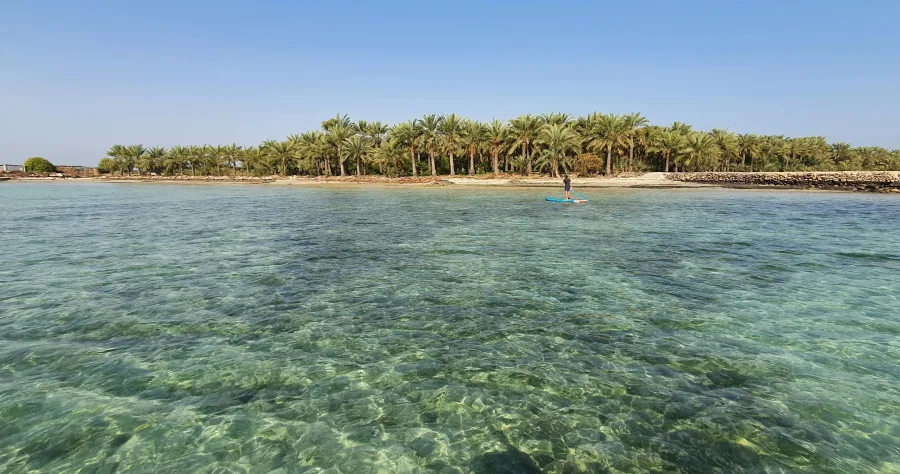 Hafenbild Sir Bani Yas Island