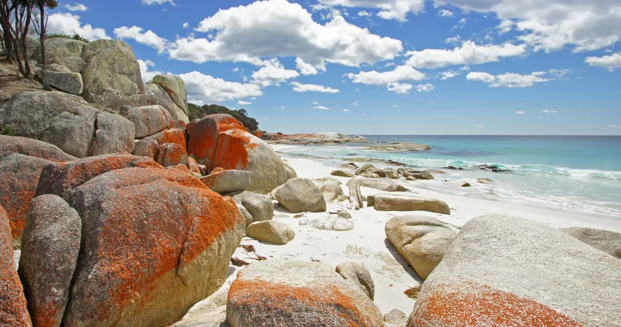 Hafenbild Burnie (Tasmanien)