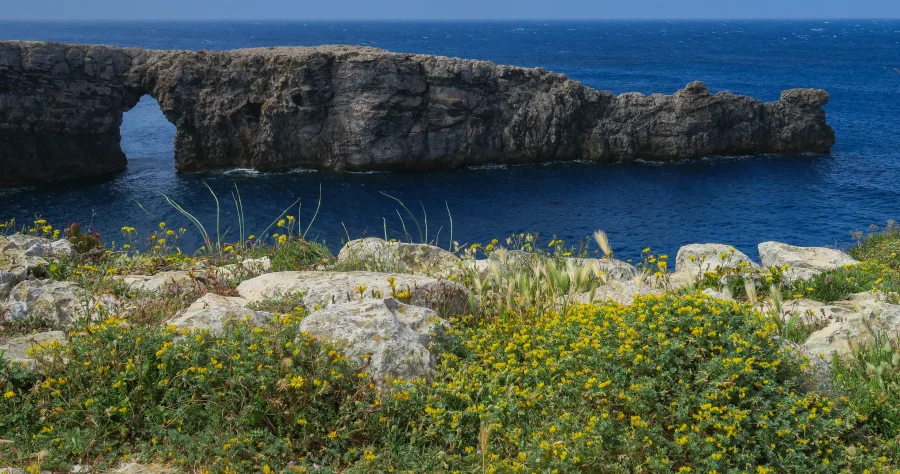 Hafenbild Mahon (Menorca)