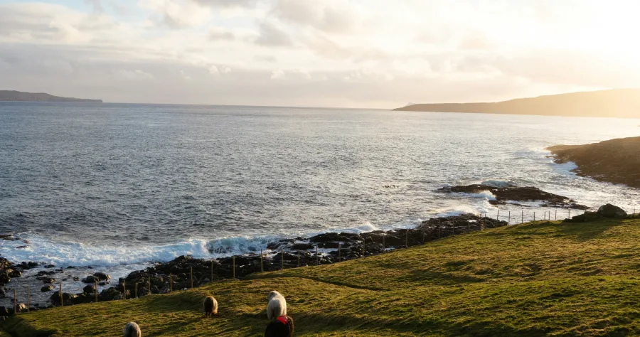 Hafenbild Thorshavn
