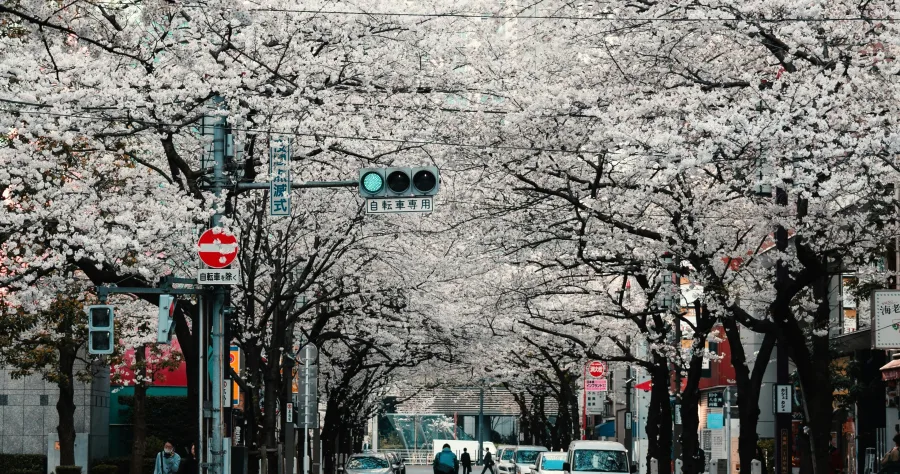Hafenbild Kushiro